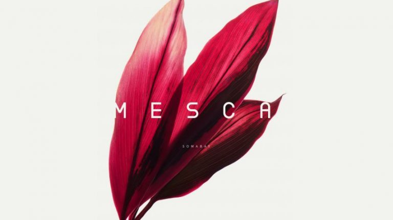 Here comes MESCA: Soma Bay’s latest Phase