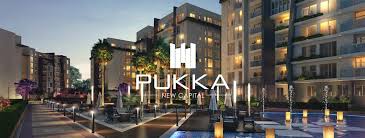 Pukka – New Capital