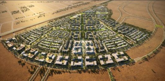 new sheikh zayed